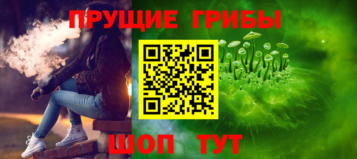 Псилоцибиновые грибы Psilocybine cubensis Рузаевка